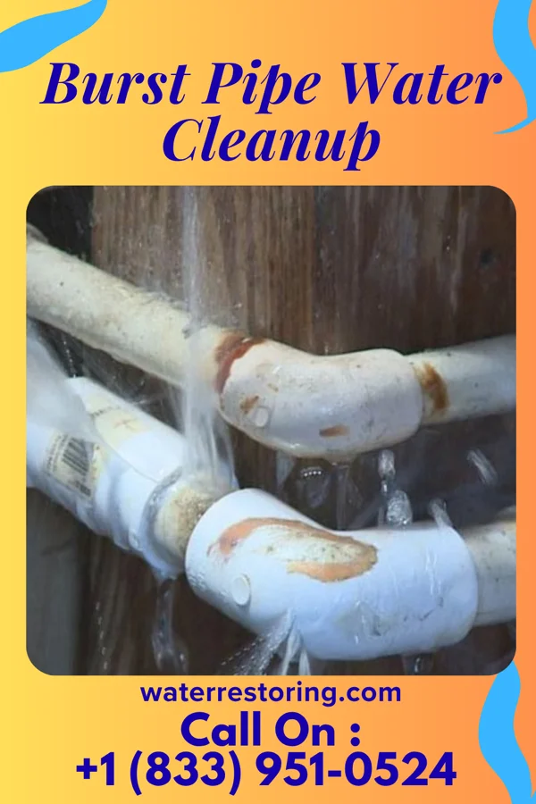Burst Pipe Water Cleanup in Botkins, OH