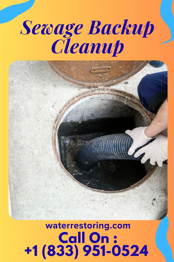 Sewage Backup Cleanup in Botkins, OH