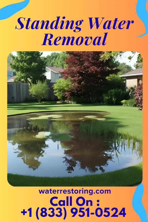 Standing Water Removal in Botkins, OH
